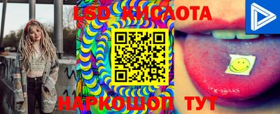 spice Обнинск