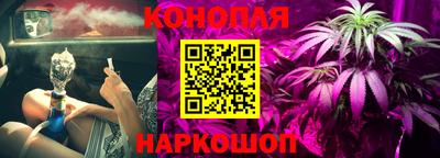 spice Обнинск